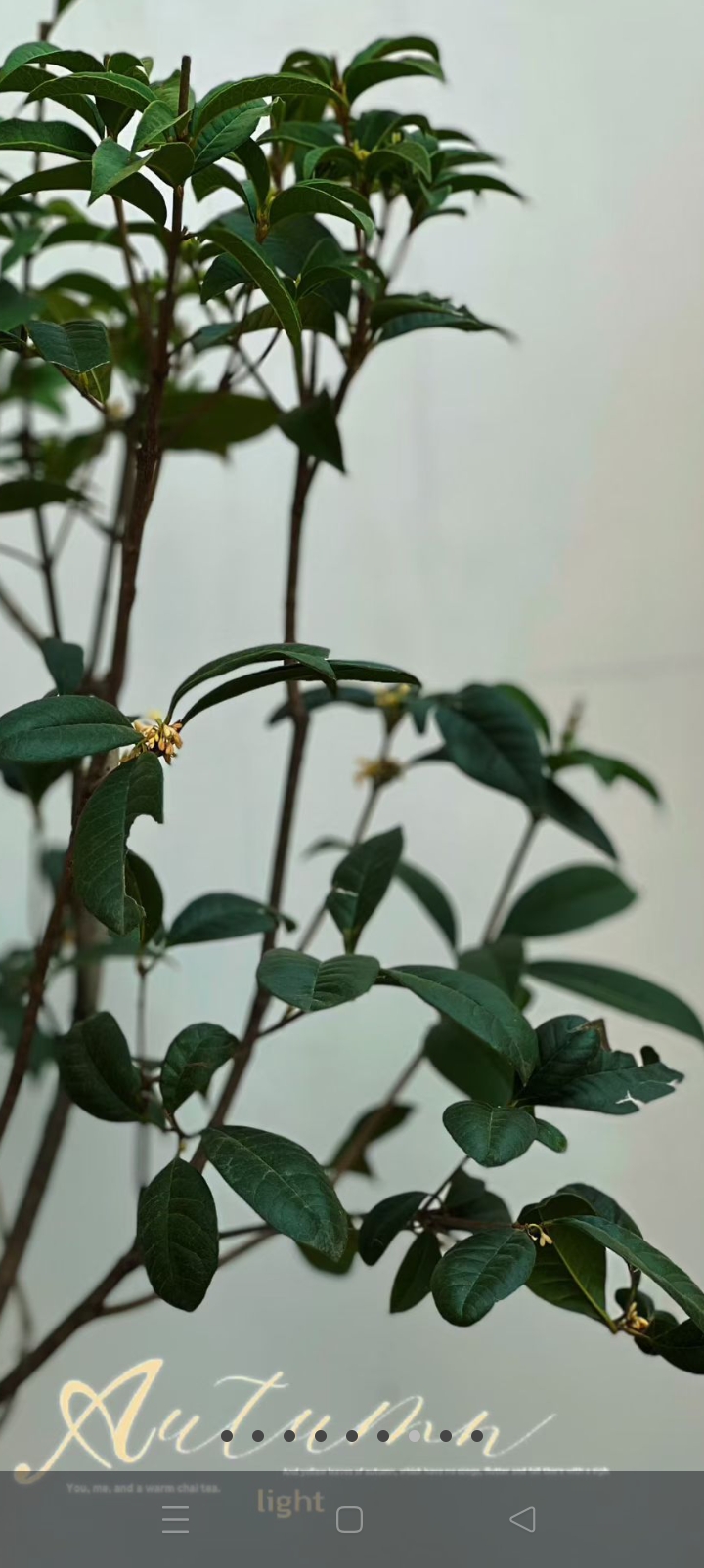 如何处理已婚男女遇到心仪异性，这事儿还挺常见。数据显示，去年38%的...