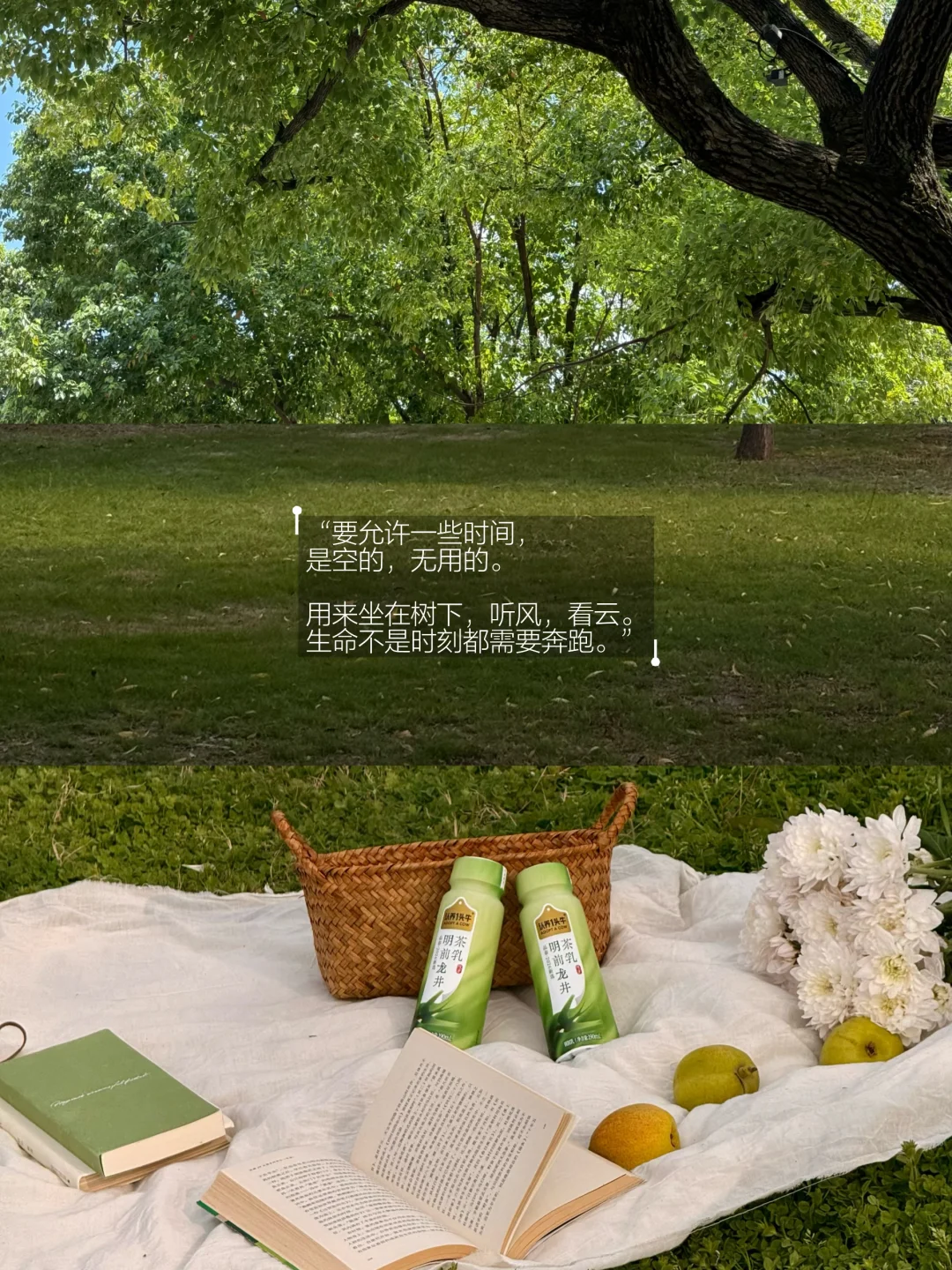 春天就是要“走出门去。”