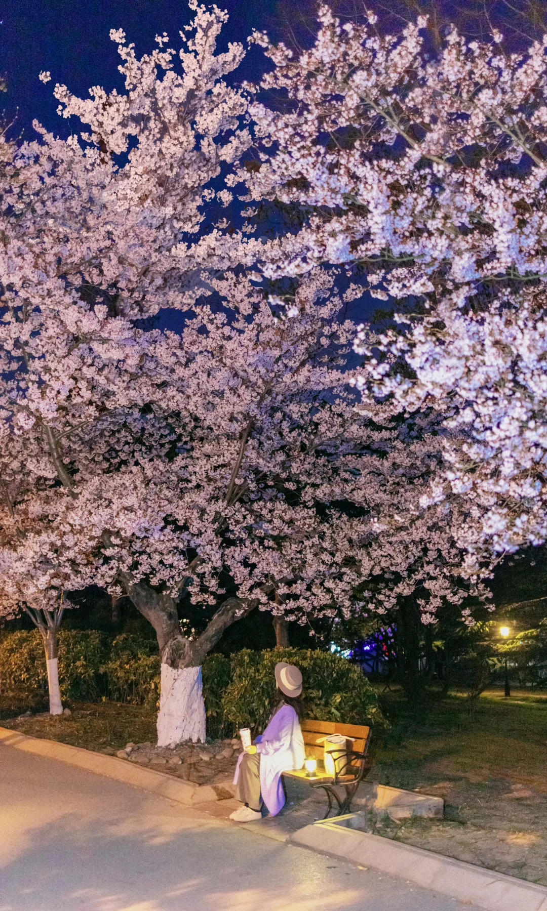 “春天没有方向，春天只顾花开”