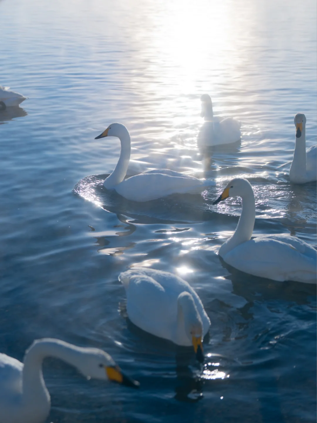 终于知道这种富士蓝调氛围感滤镜怎么调了‼