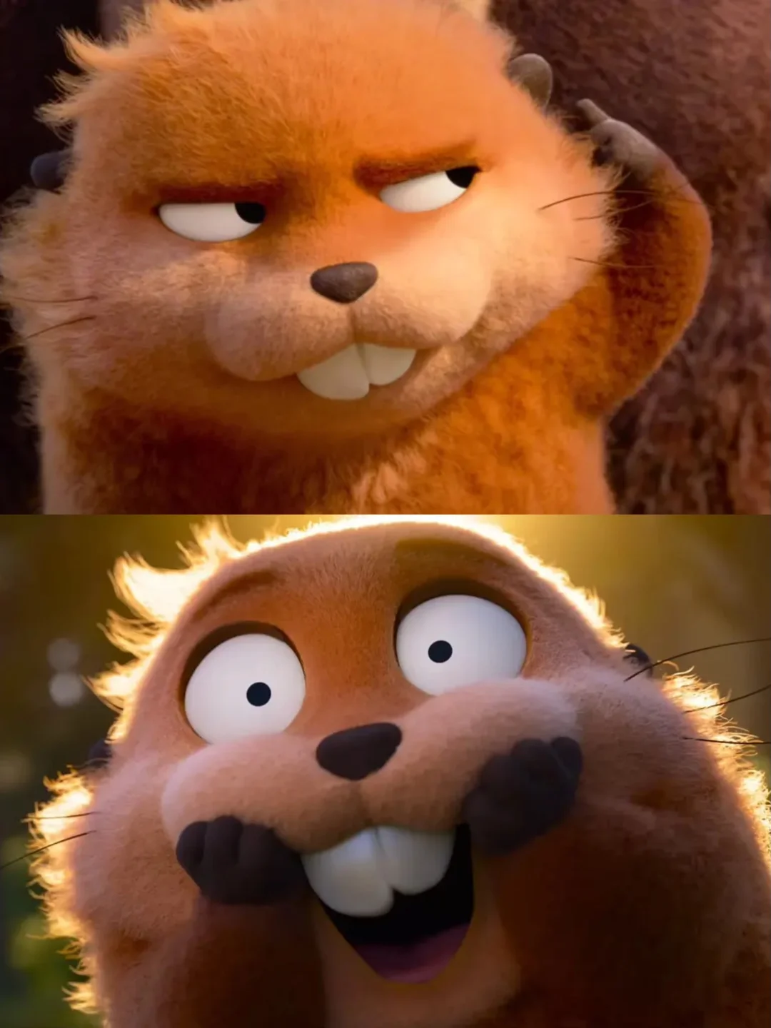 皮克斯新片《河狸变身计划》口碑出炉，是好评！