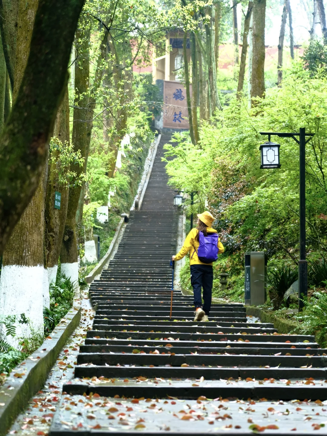 🍃小长假徒步码住这条清幽路线！老少皆宜！