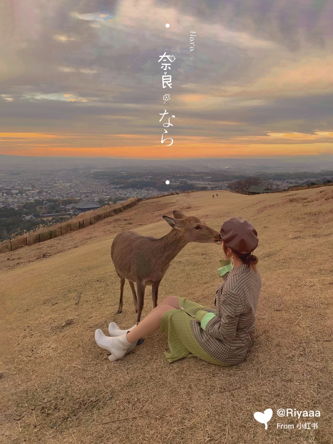 🦌奈良喂鹿半日游去这两个地方就够了！