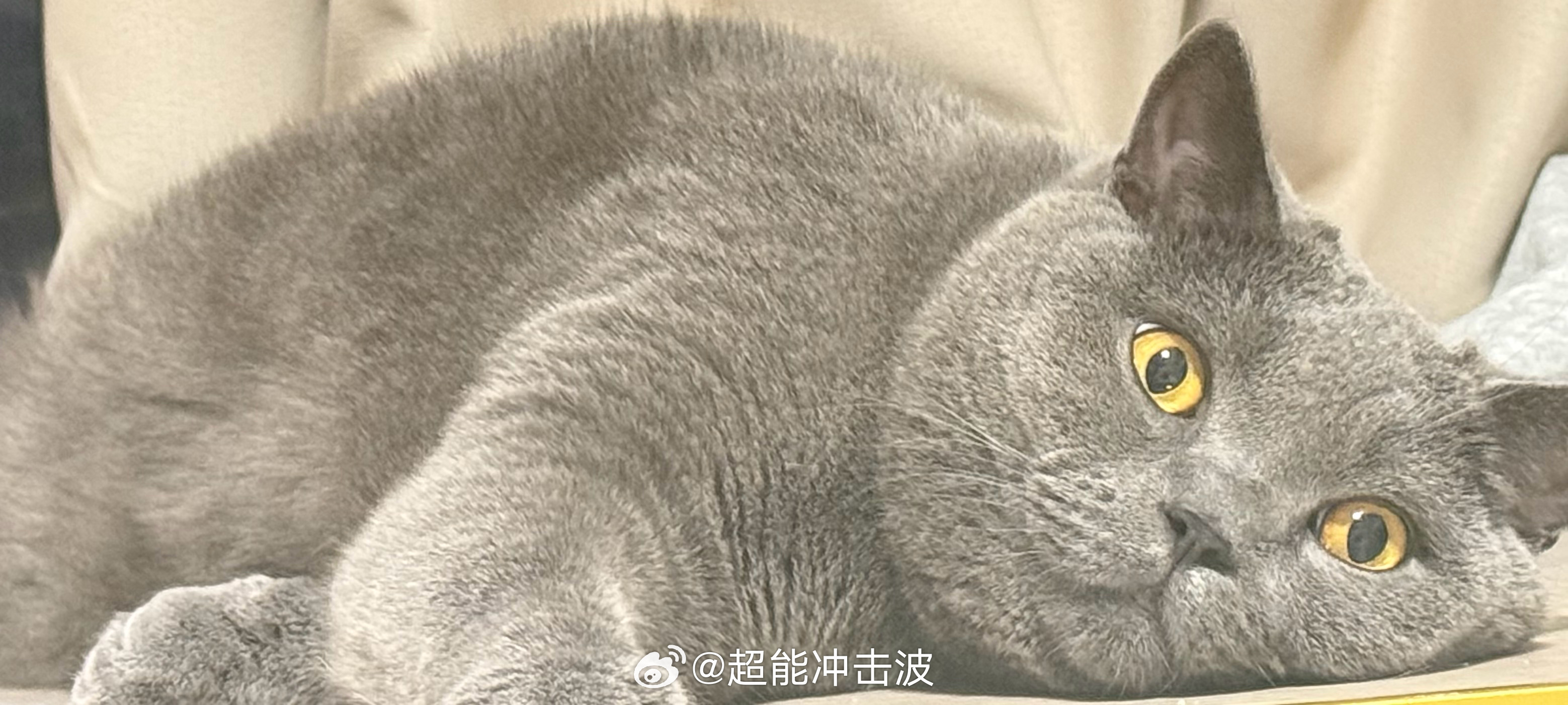 🌤𝒢𝑜𝑜𝒹 𝑀𝑜𝓇𝓃𝒾𝓃𝑔 接受一切 并认真对...