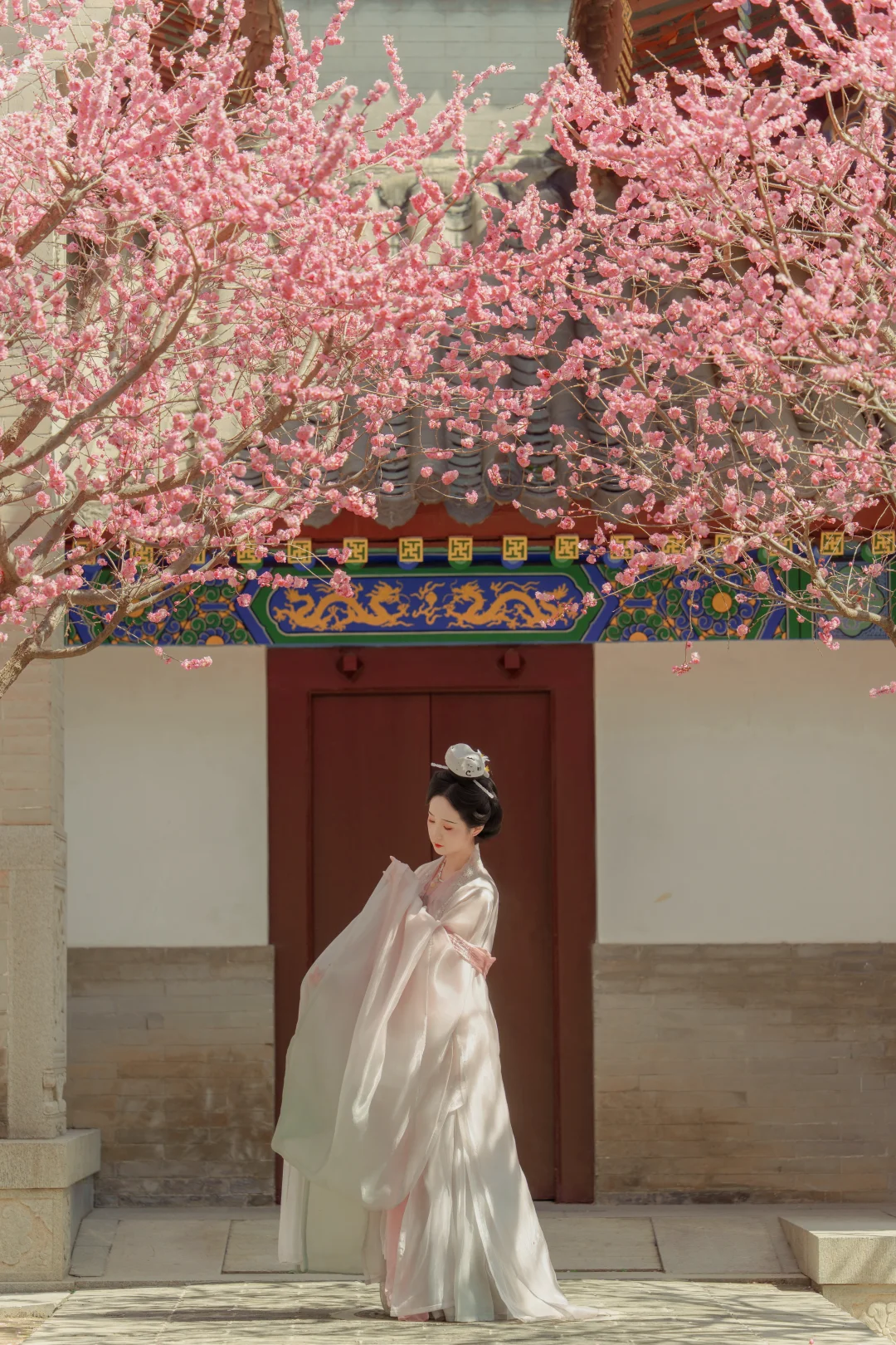 春和景明🌸盘点我在西安追过的花儿-3月版