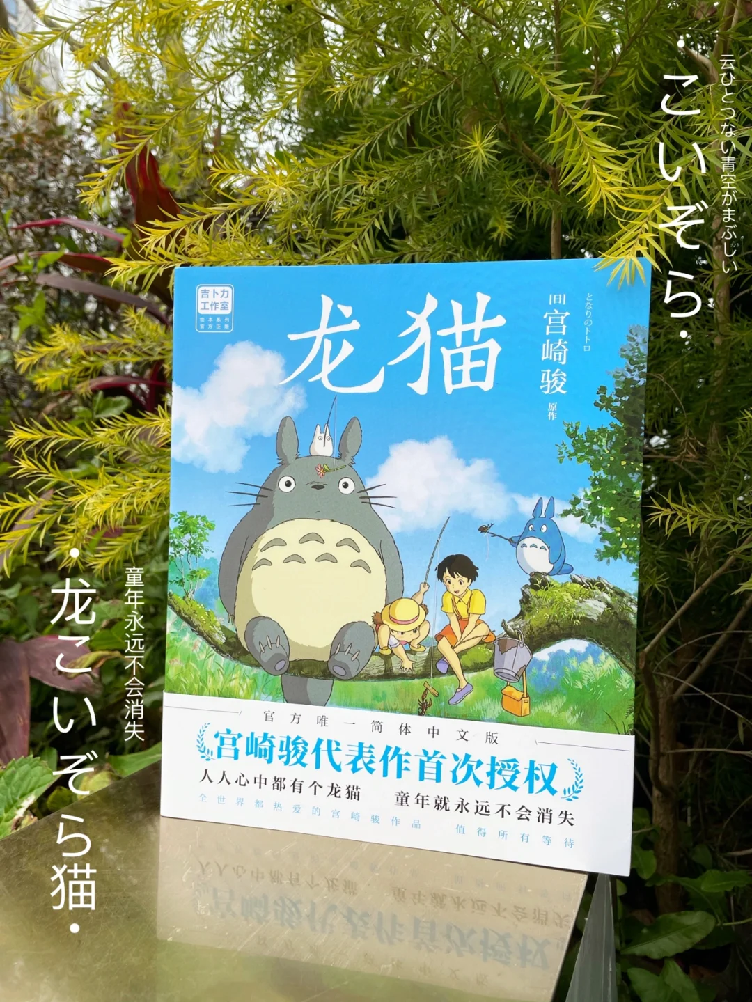 治愈绘本🐱期待了那么多年的龙猫终于出书了