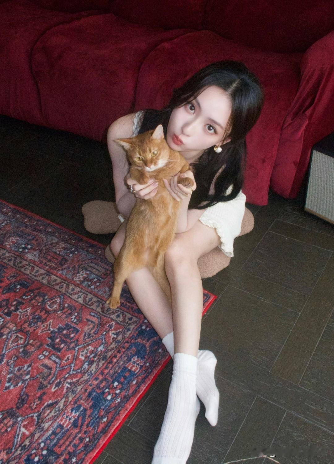 很多小姐姐都是猫奴，这是个很有趣的现象。就像亦菲，36岁的她不恋爱不交...