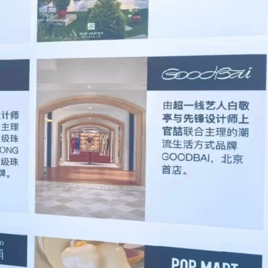 超一线艺人白敬亭[柯基] ​