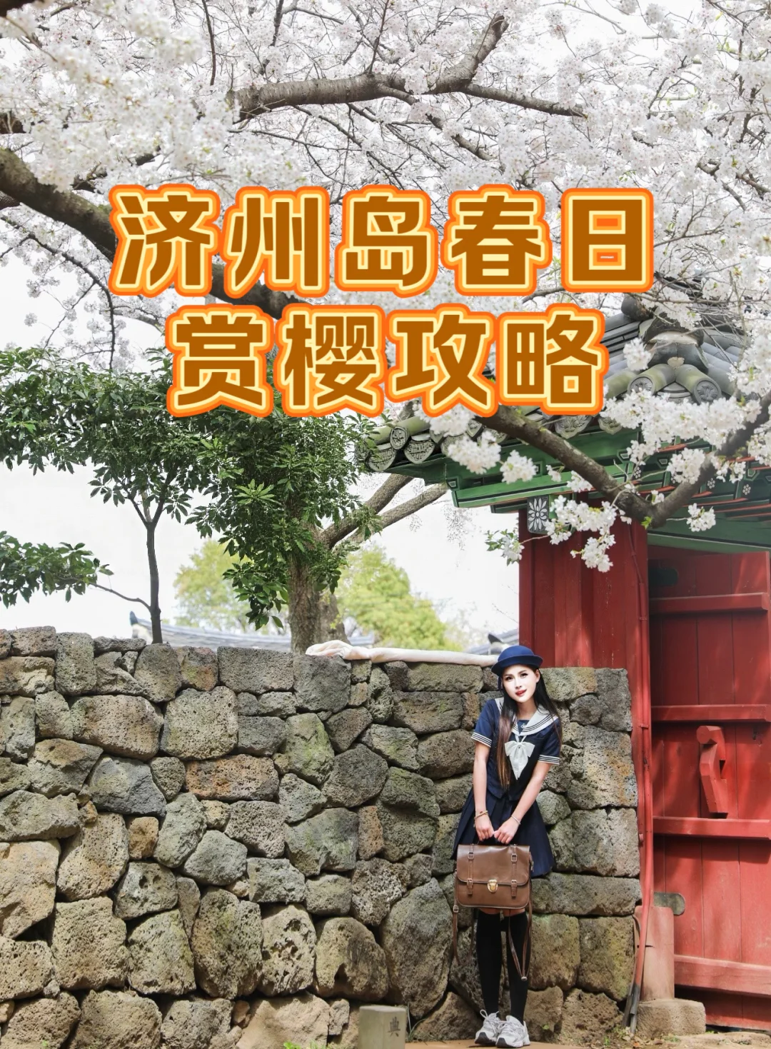 接下来济州岛是这样的！春日赏樱攻略