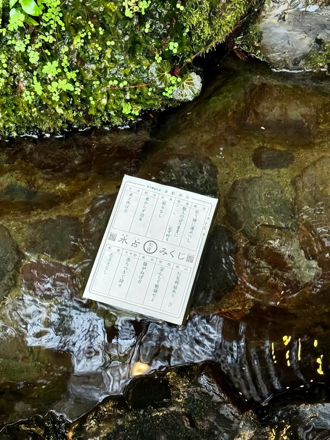 三千院不去也行，但贵船神社真的别错过！