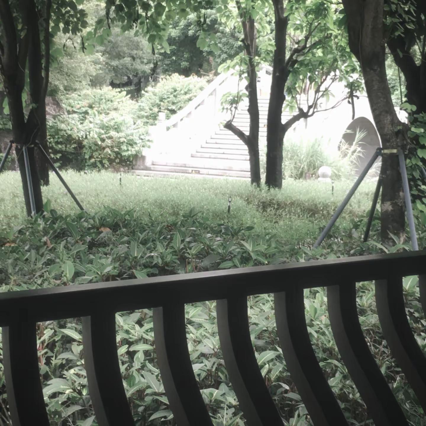孙权