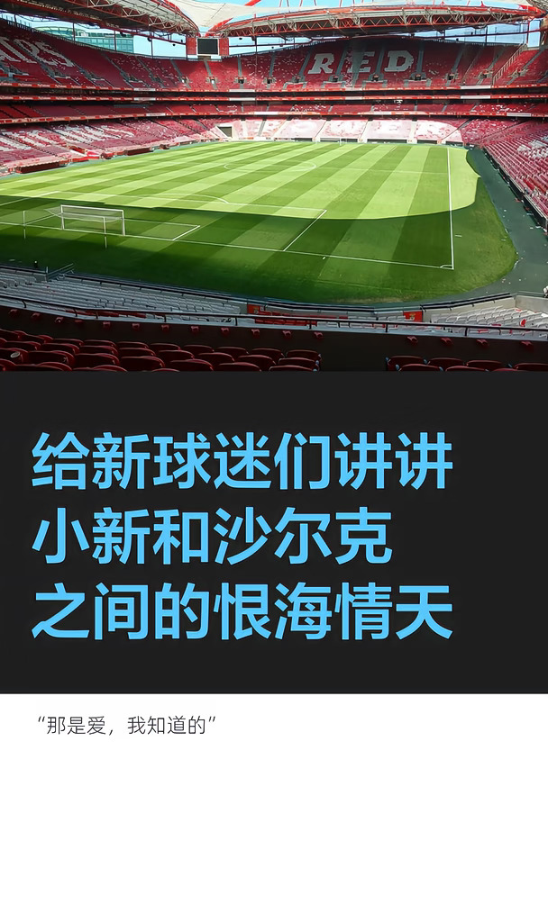 给新球迷们讲讲诺爹和沙尔克的恨海情天