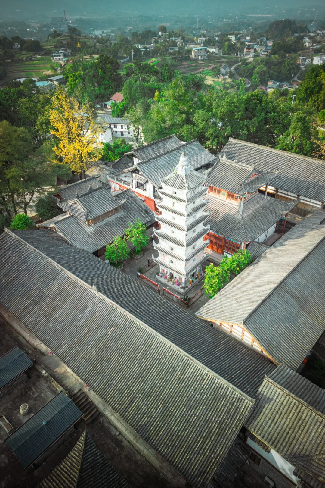 💥千年古寺塔坪寺的银杏叶黄了🌈❤️