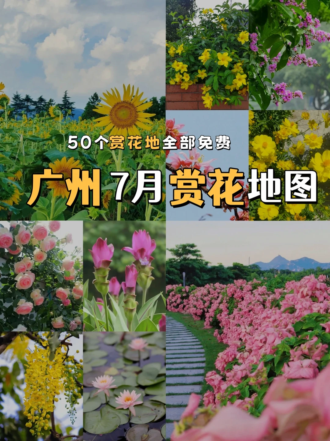 暑假在广州❗50+个免费赏花地攻略