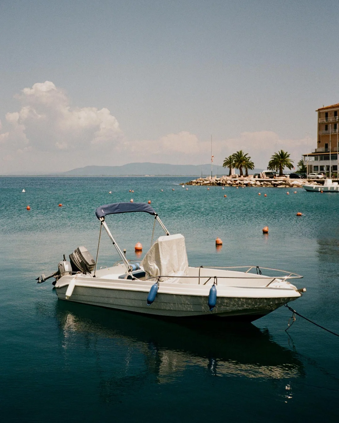 “𝓣𝓾𝓼𝓬𝓪𝓷𝔂 𝓜𝓸𝓸𝓭”