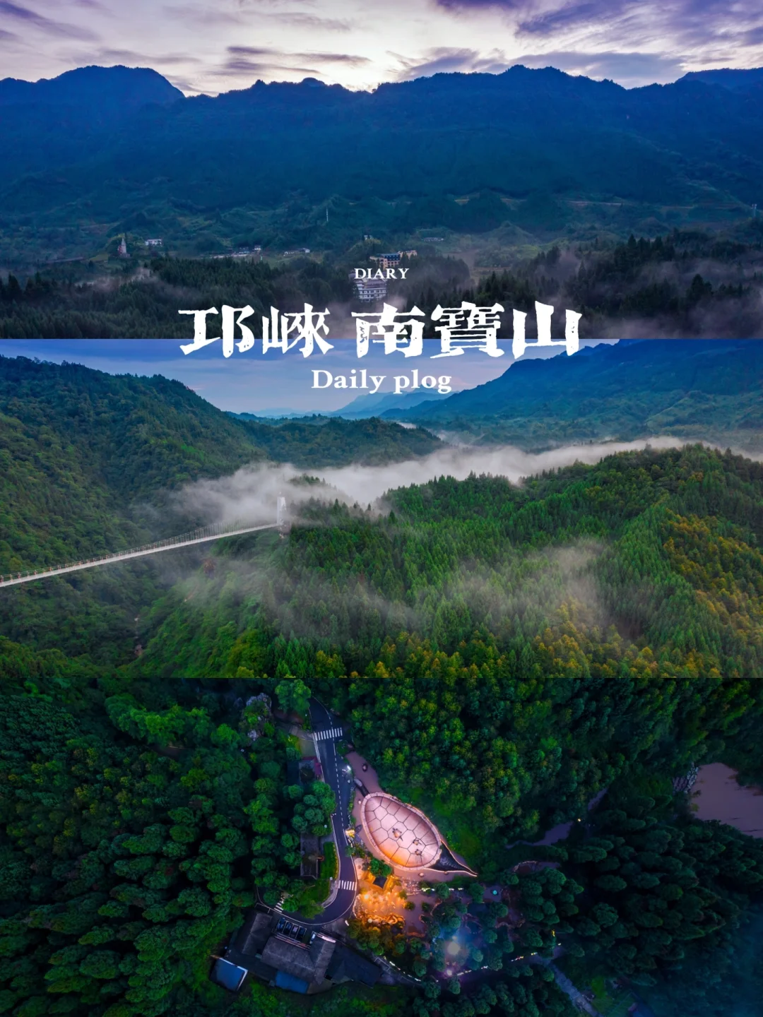 这个夏天，和我去南宝山避暑吧🍃