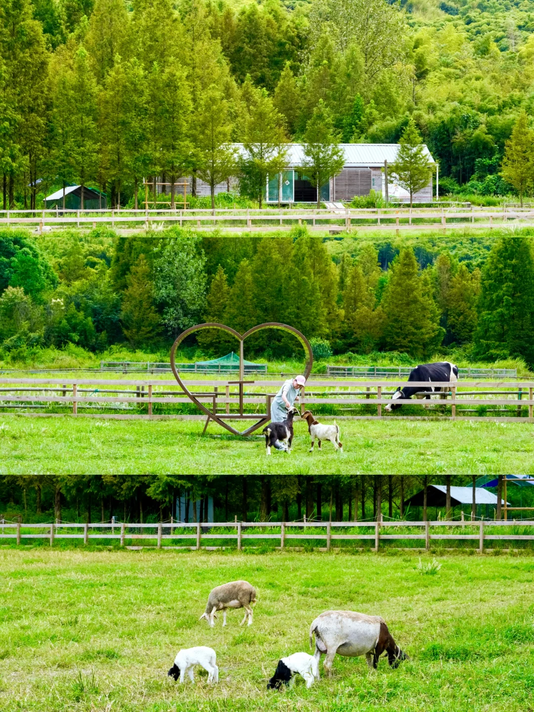 江浙沪自己的“阿勒泰”，杭州自驾1小时