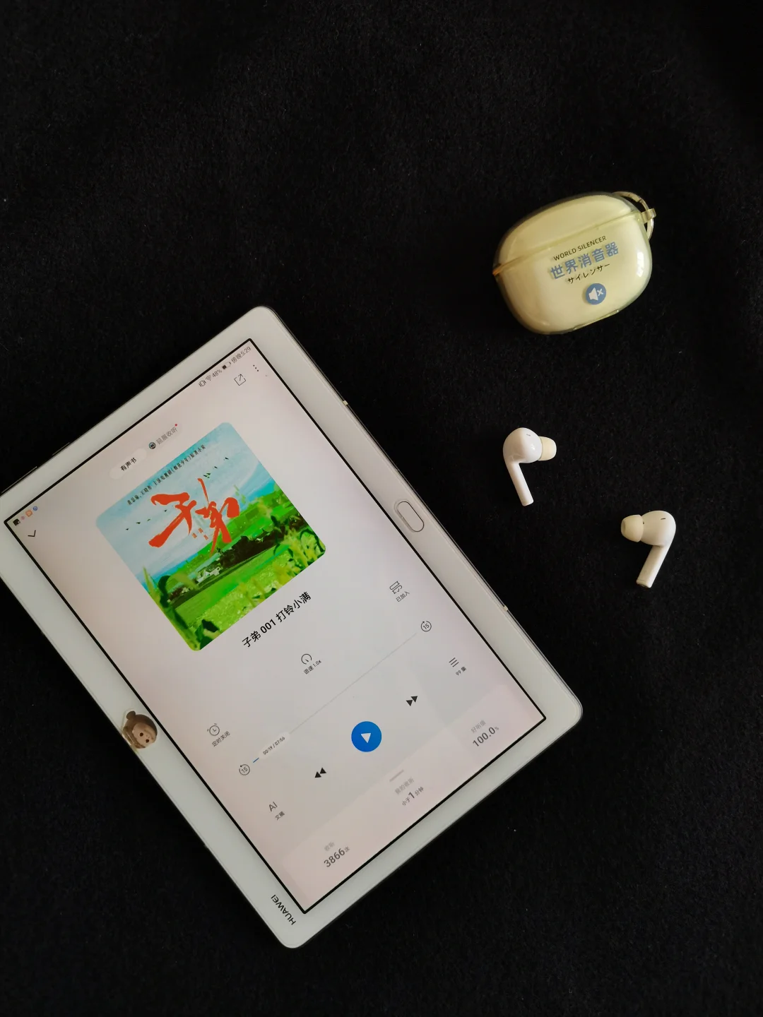 等不及《岁月有情时》开播？先听这本过过瘾