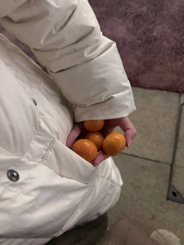 和云子遛狗 从出门开始云子就在掏砂糖橘 说是“最后一个” “真的是最后...