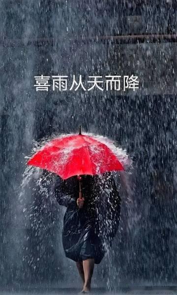 狂风暴雨，倒水一样，昨天才晒焦了，半夜就开始下雨了，今早越下越大，不得...