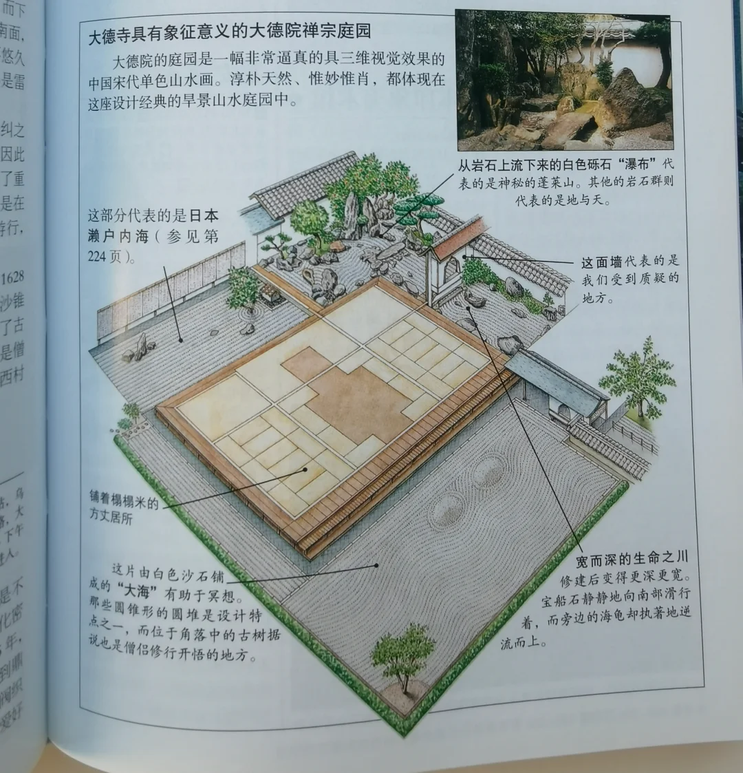 日本文化人追求的庭院美感：只能说挺独特的