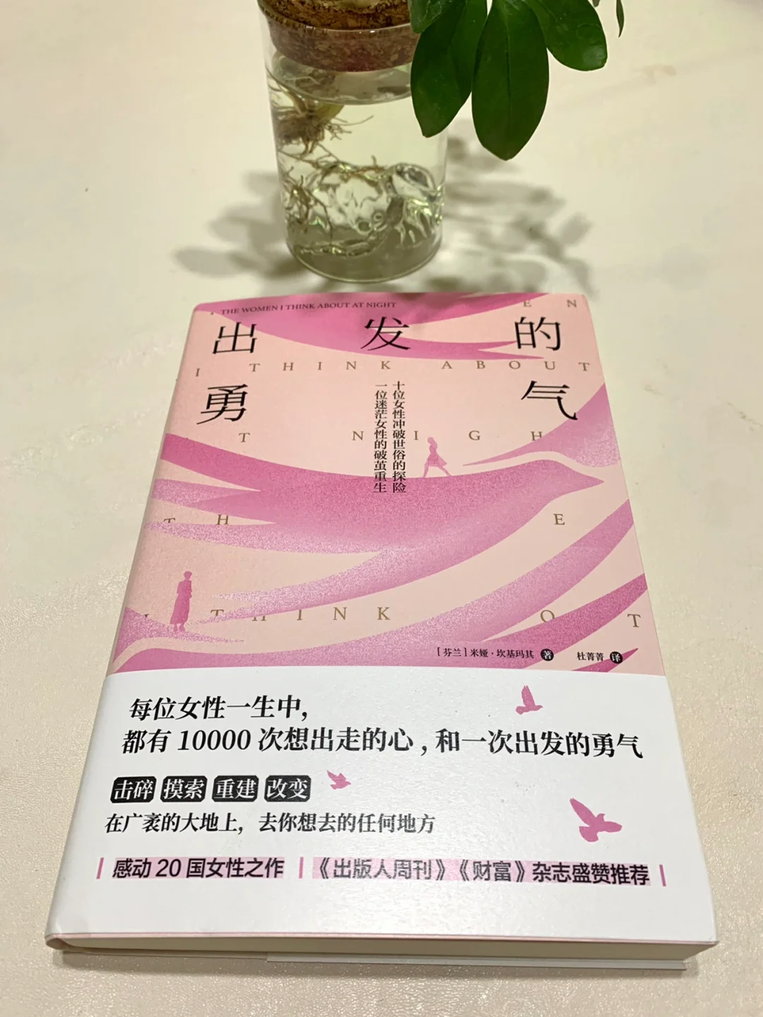 感动20国女性之作 关于女性人生冒险