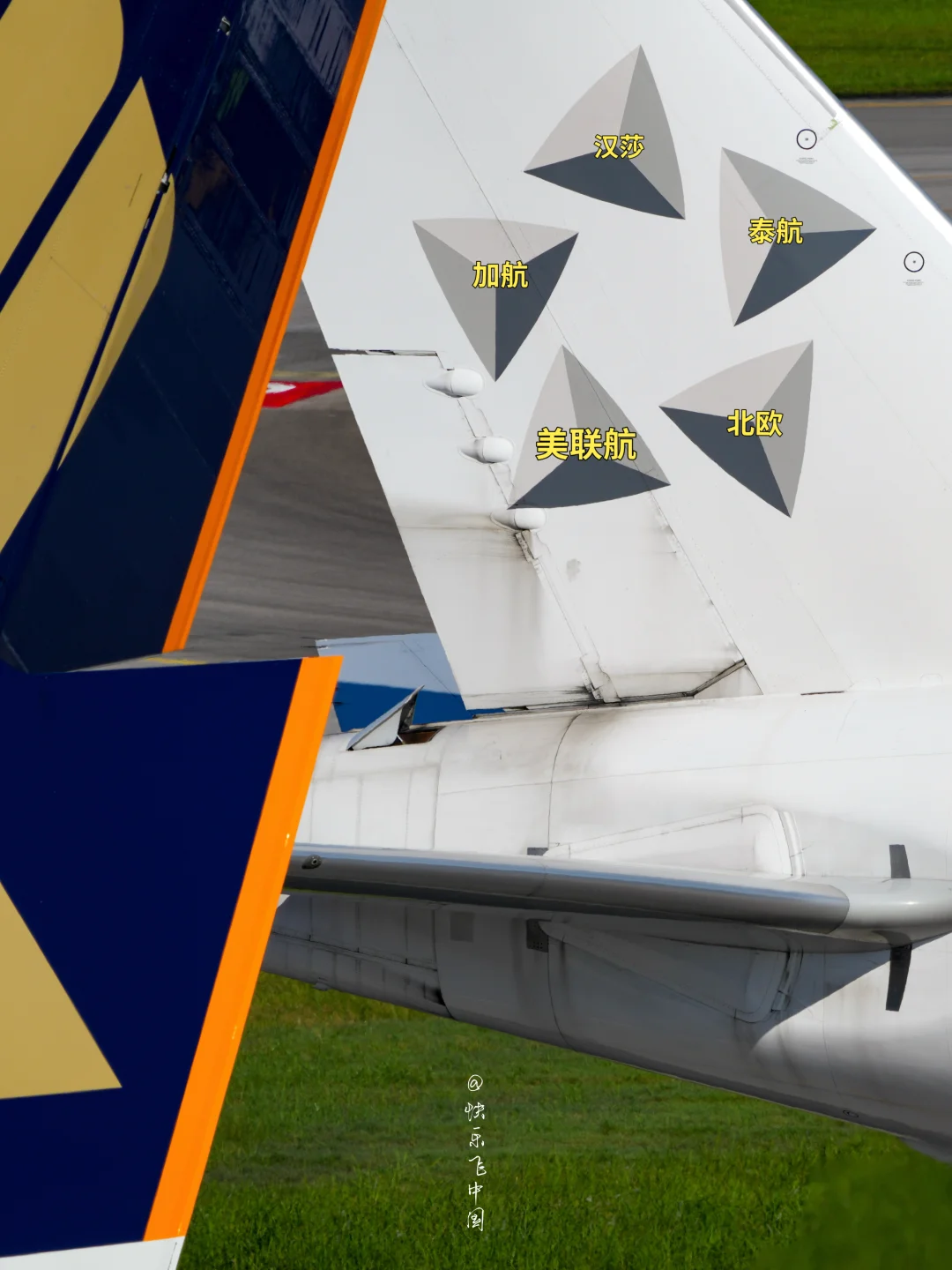 星空联盟5颗星星，原来是5家航空公司呀❓