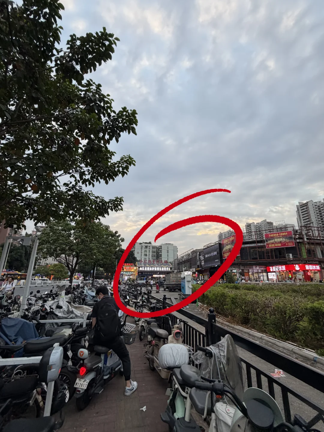 啊棠下这里也有了啊。。。。