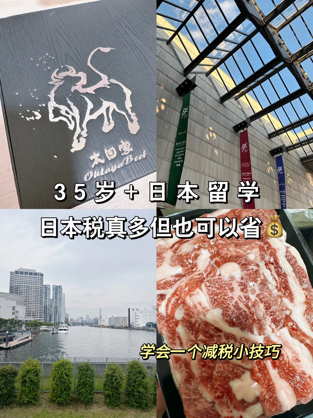 日本税好多！但这样就能减税好有趣🤤