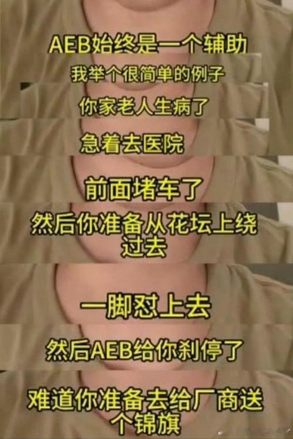 大胆米猴，竟然质疑雷军的AEB技术！ ​