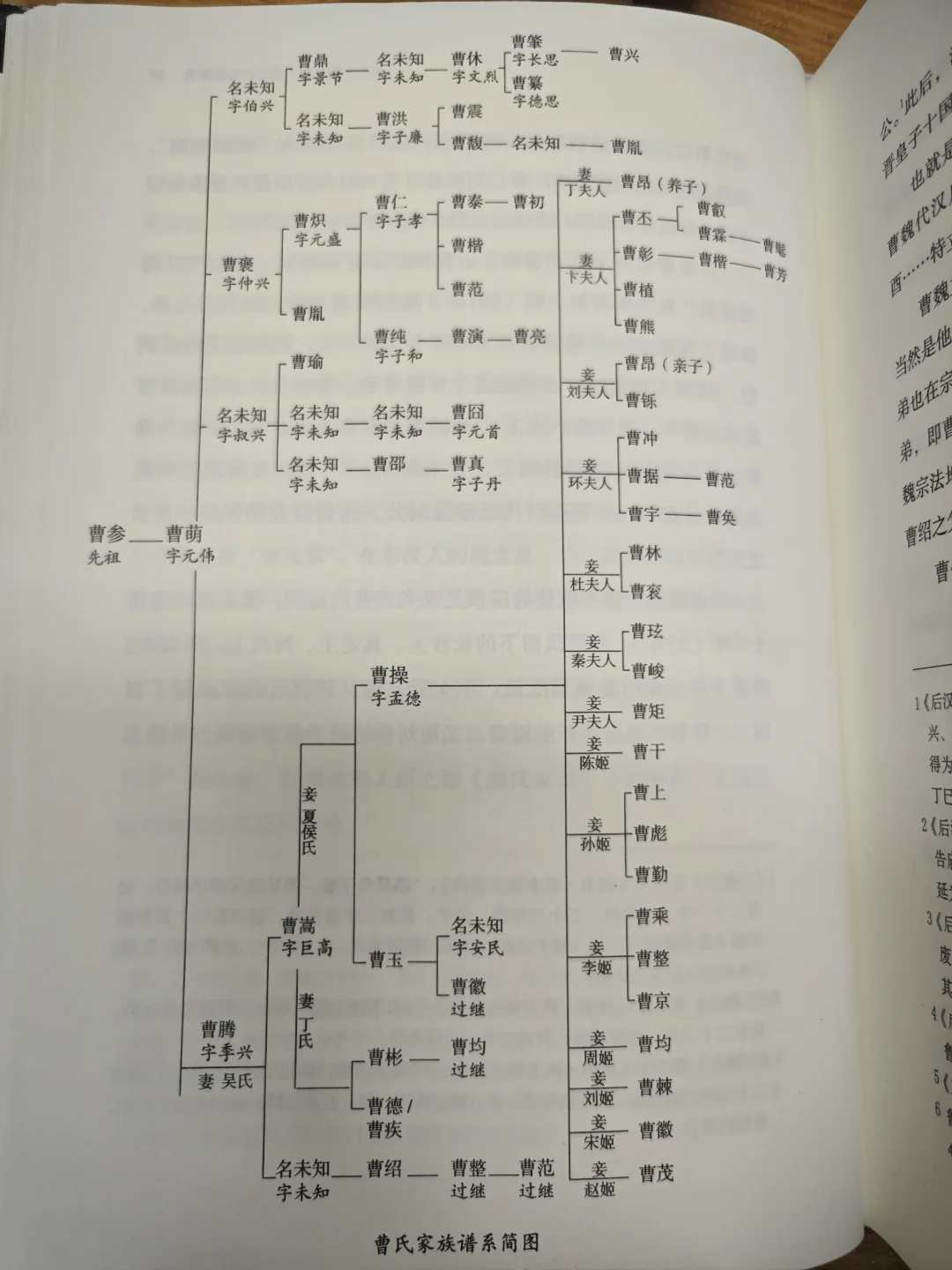 曹操家族谱系:曹仁曹洪曹纯曹休曹真曹安民