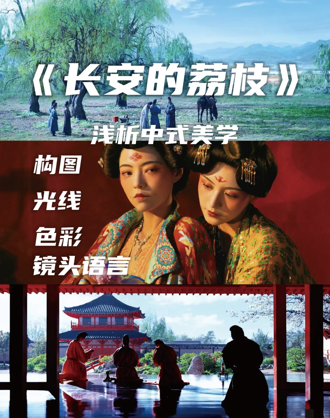 【长安的荔枝】凭什么爆火？