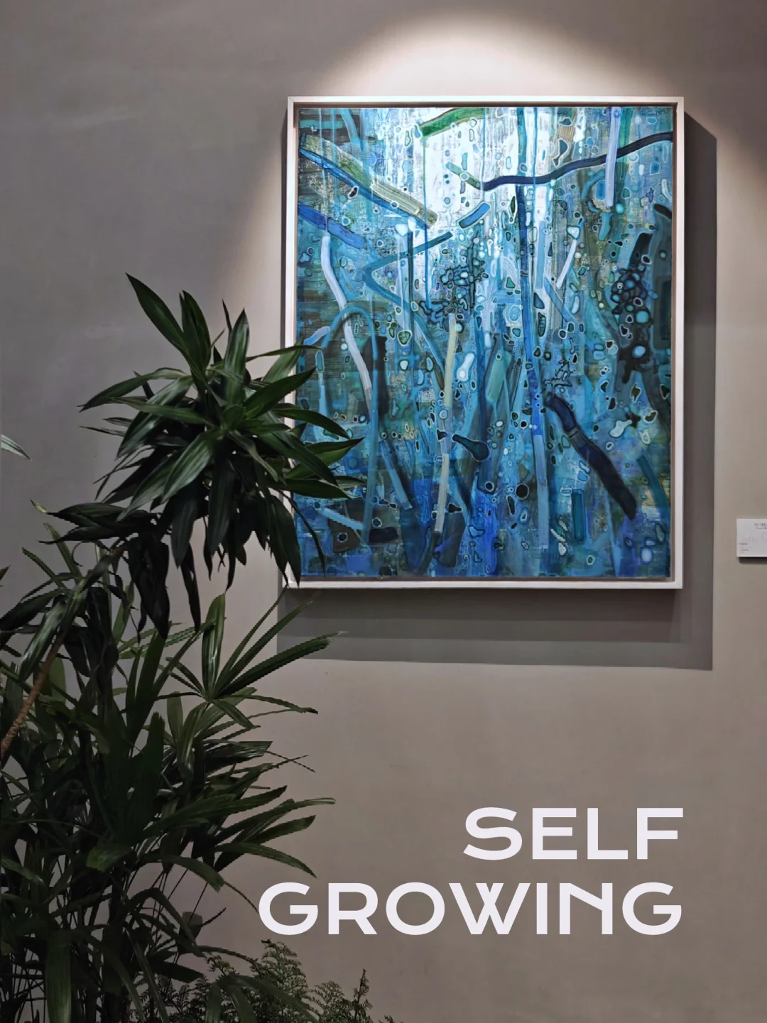 黄榜｜绚丽多彩的“自然乌托邦”