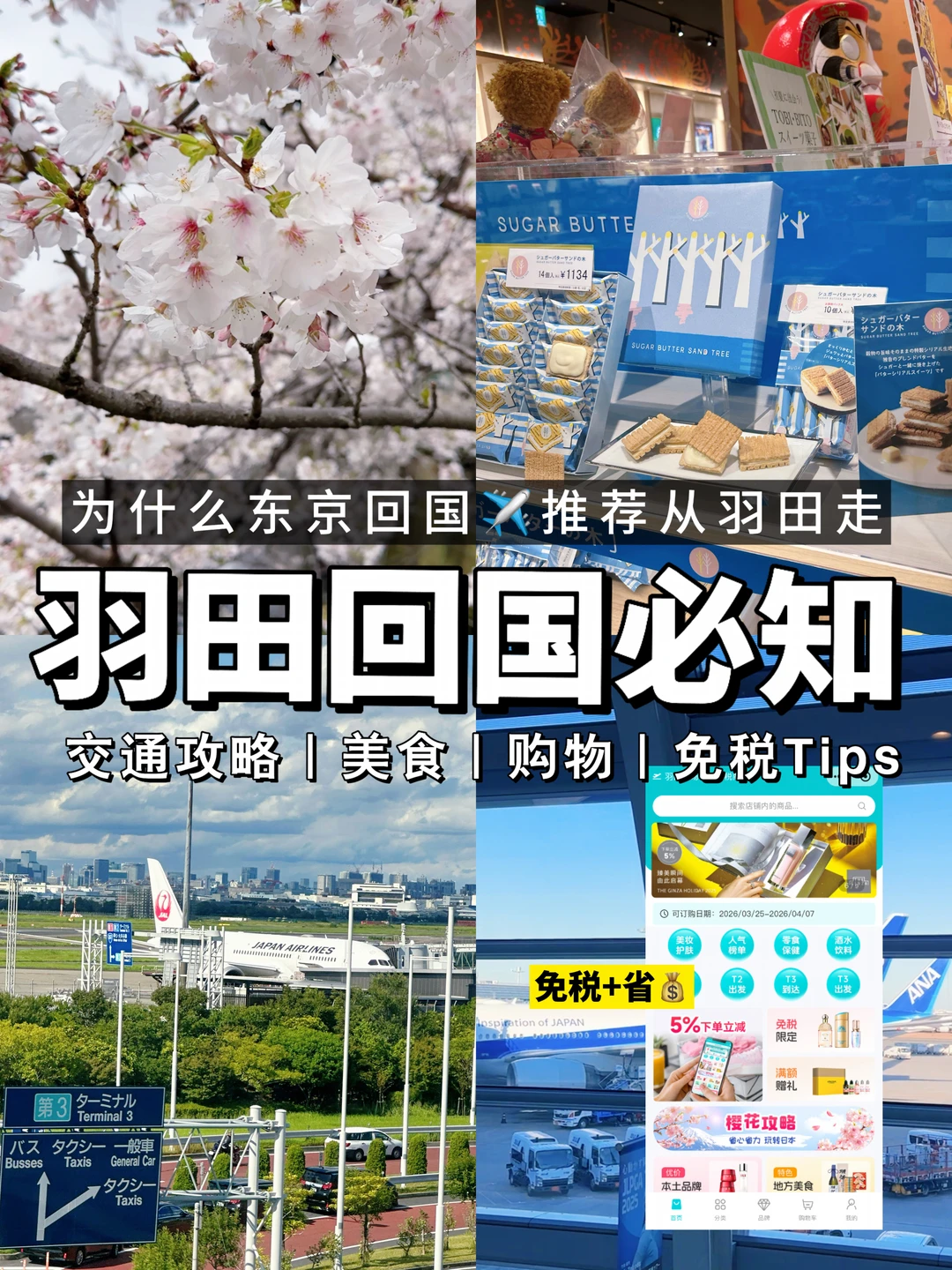 樱花季来东京✈️为什么推荐大家从羽田机场飞
