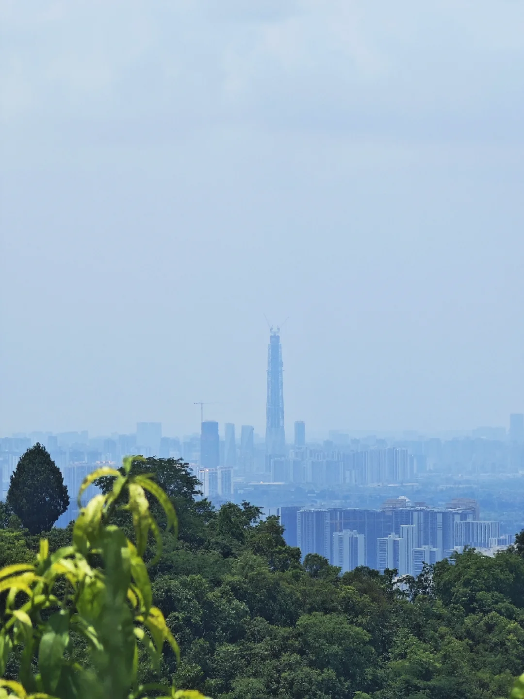 咋个到哪点都闯到你？咋个都能闯到起！？