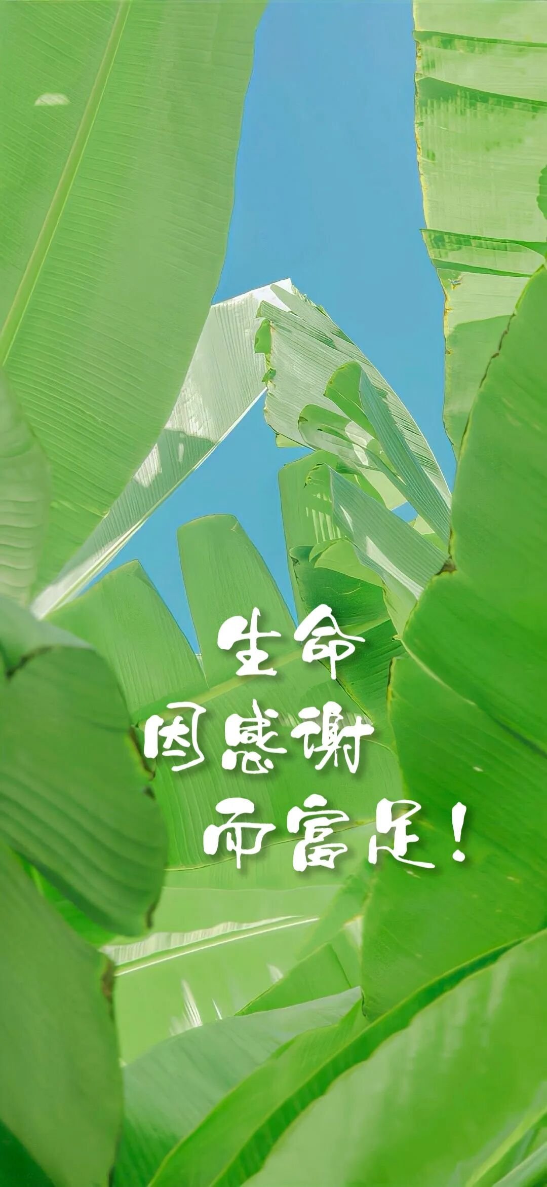 跳高名将张国伟近日连发微博感恩举国体制，一句“别断了很多贫穷孩子的上升途径”因时间点恰逢刘翔退役安置风波，被全网解读为隔空回应，引发了一场关于体育体制的激烈讨论。 一、核心表态：感恩国家培养，守护寒门