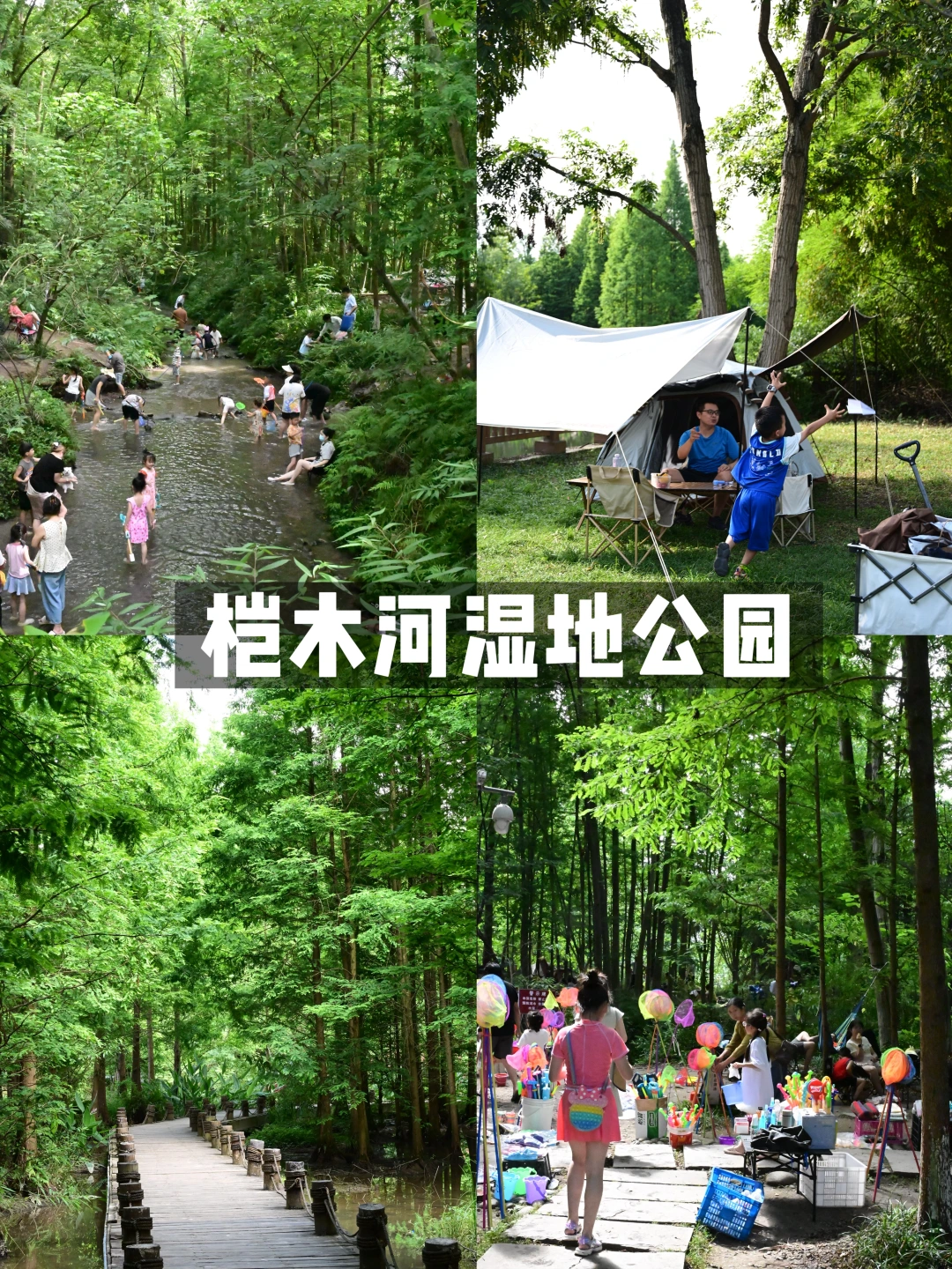 成都出发1h‼️桤木河湿地公园玩水露营攻略