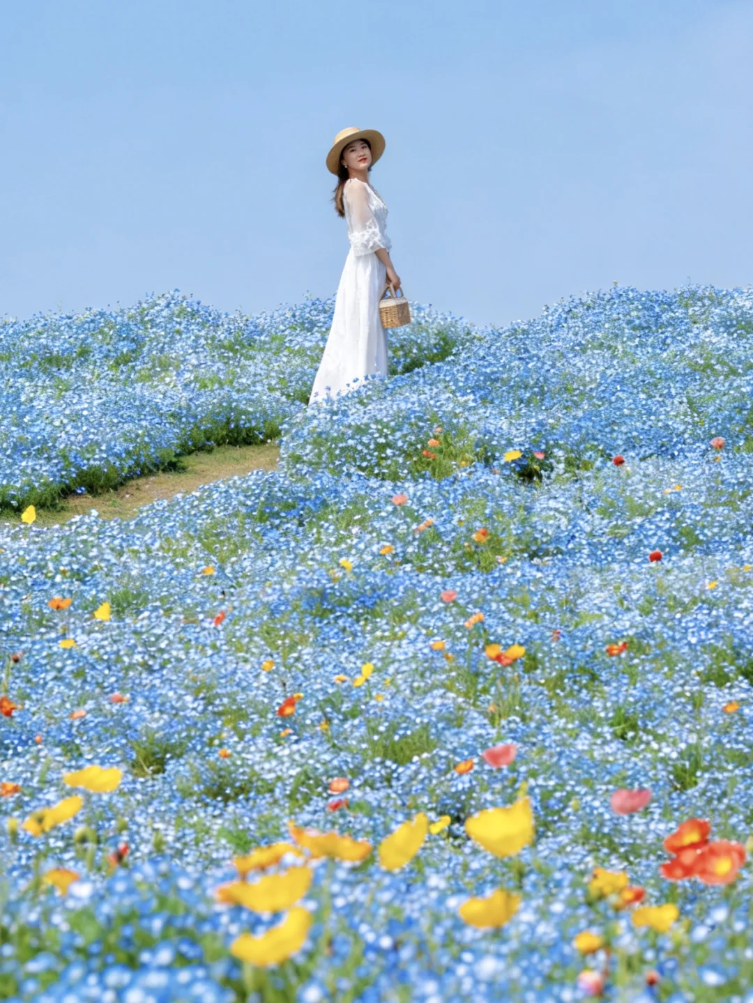 大胆预测❗️上海这个春日公园将是四月顶流‼️