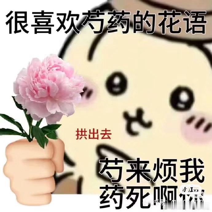 不上班的日子班味儿比上班时候还浓。烦死了流程上形式上的一切东西。除了官僚主义形式主义不知道这群人还能干嘛？ ​