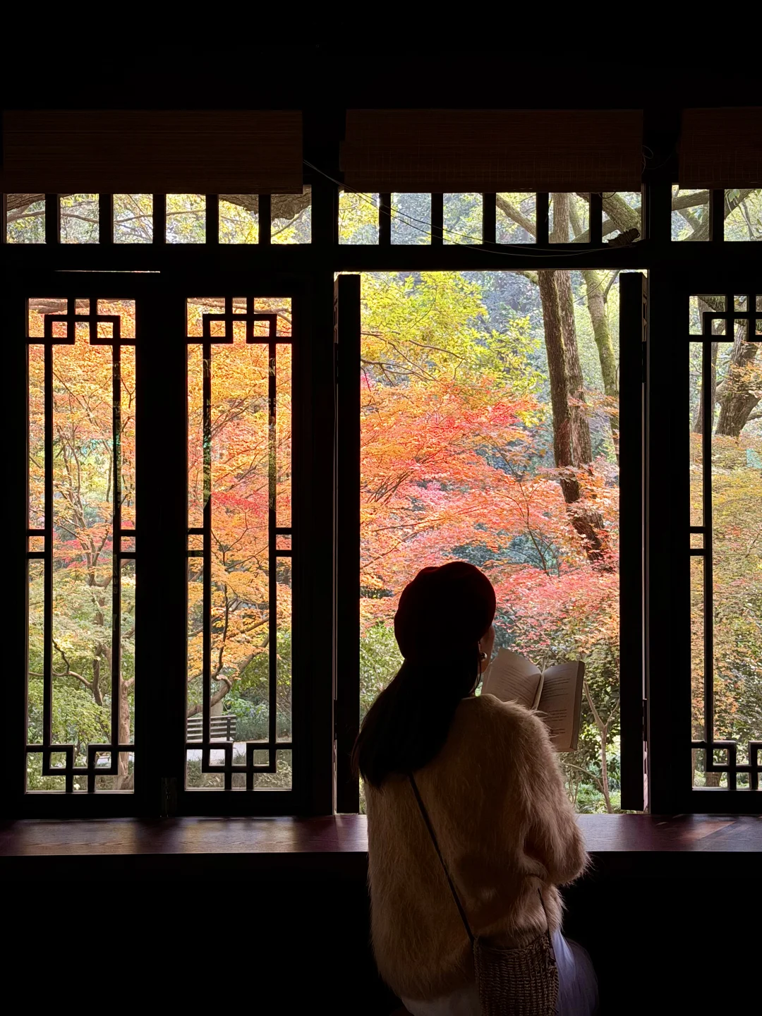 Live｜12.1实拍！杭州秋天的西湖🍁真的杀疯了