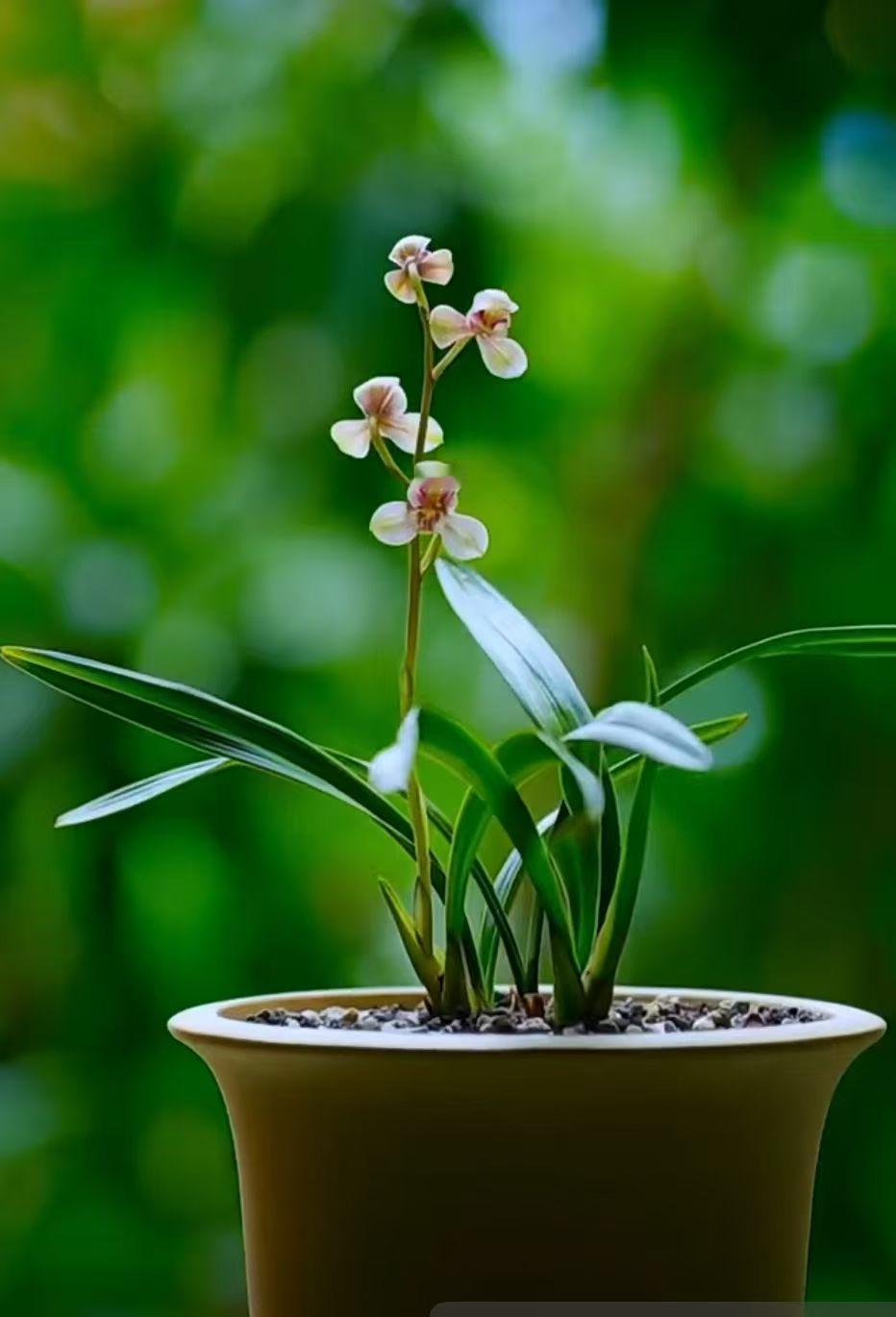  天蝎座的热恋期长度，完全取决于你。 如果你能给足他安全感、忠诚和深...