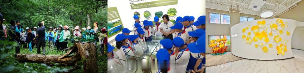 【五色沃野·水墨吉林（4日）】线路：长春市（长春天怡研学旅行基地）——...