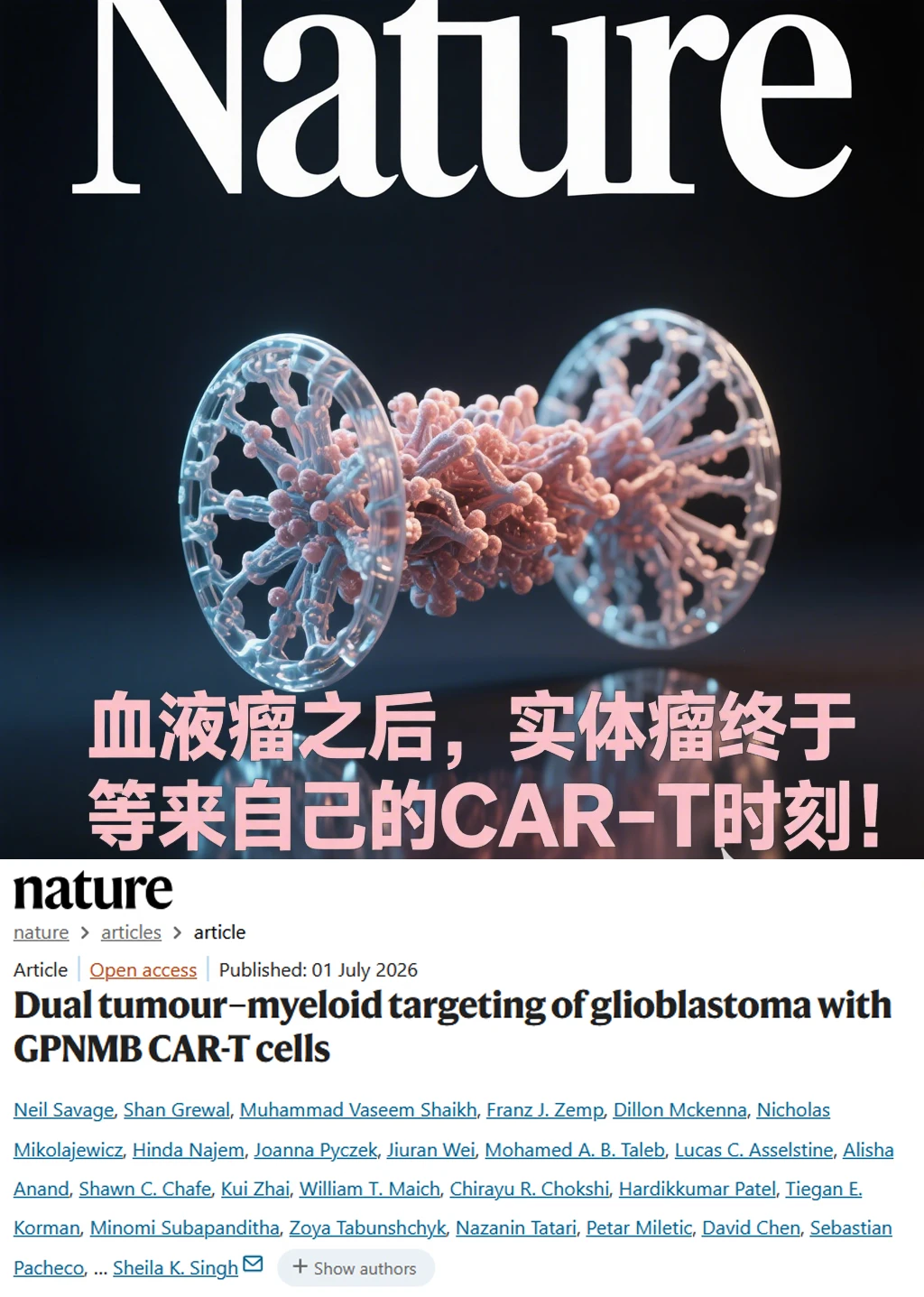 Nature重磅-CAR-T新靶点GPNMB治疗实体瘤