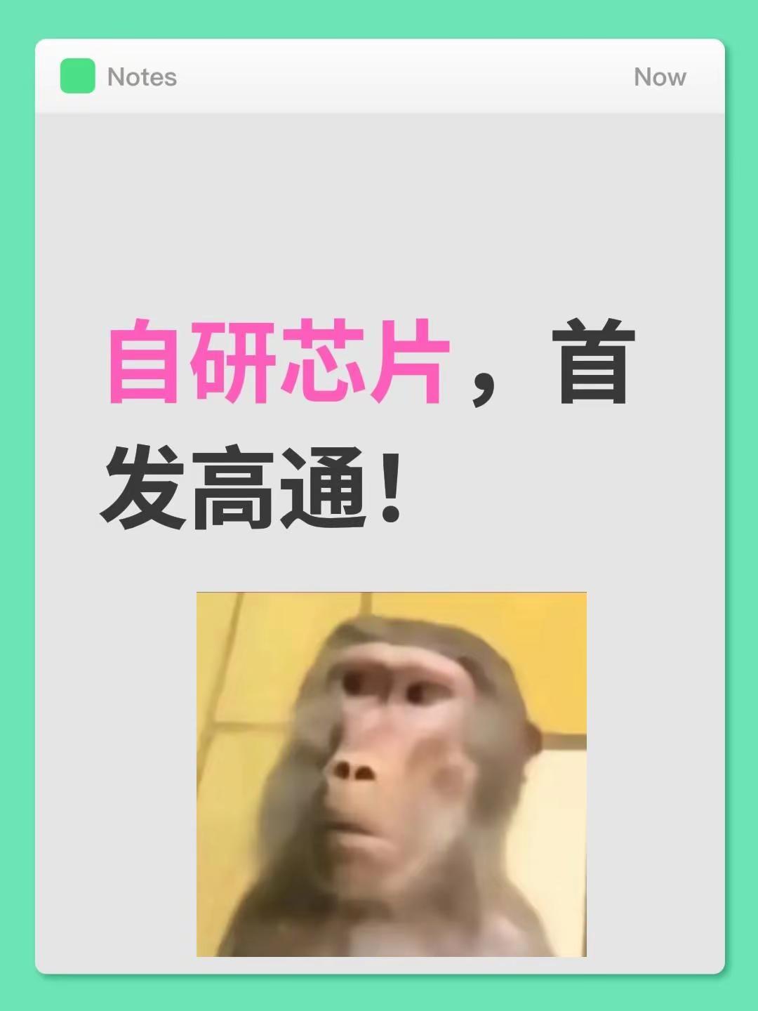 自研芯片，首发高通。有点意思！高通骁龙 国产芯片 芯片 自主研发 自研