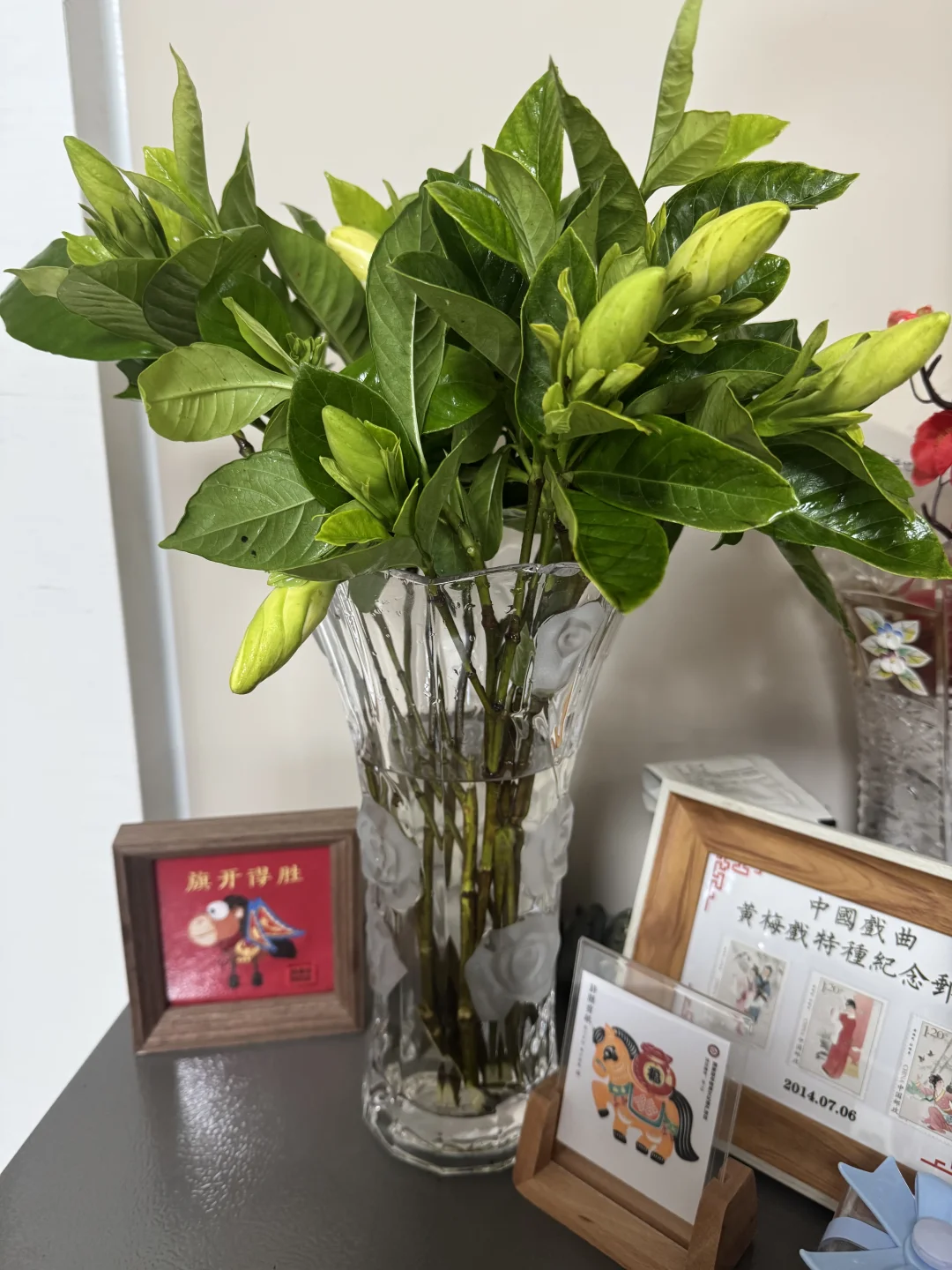 今年的第一束栀子花