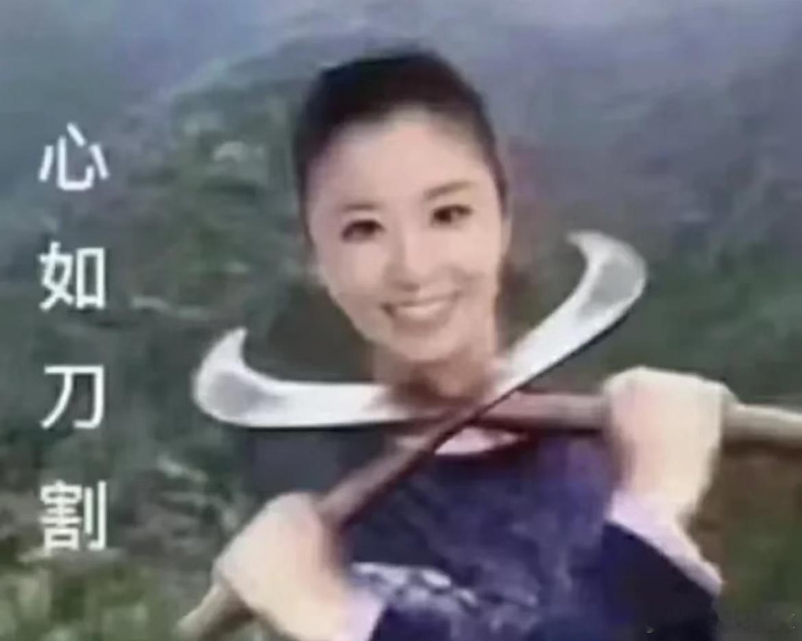 我妈妈是林心如全肯定真爱粉 真爱到我初中开玩笑给她发了一个“心如刀割”的表情包 她都非常震惊又焦急地问我“怎么回事呀 这是把我的心如怎么了😭”  后面她刷到微信公众号说林心如t//d（真假未知 不是重点）她好呆萌地问我台//独什么意思 我说就是认为台湾是一个独立的国家 她这个曾经给家里两只小 ​