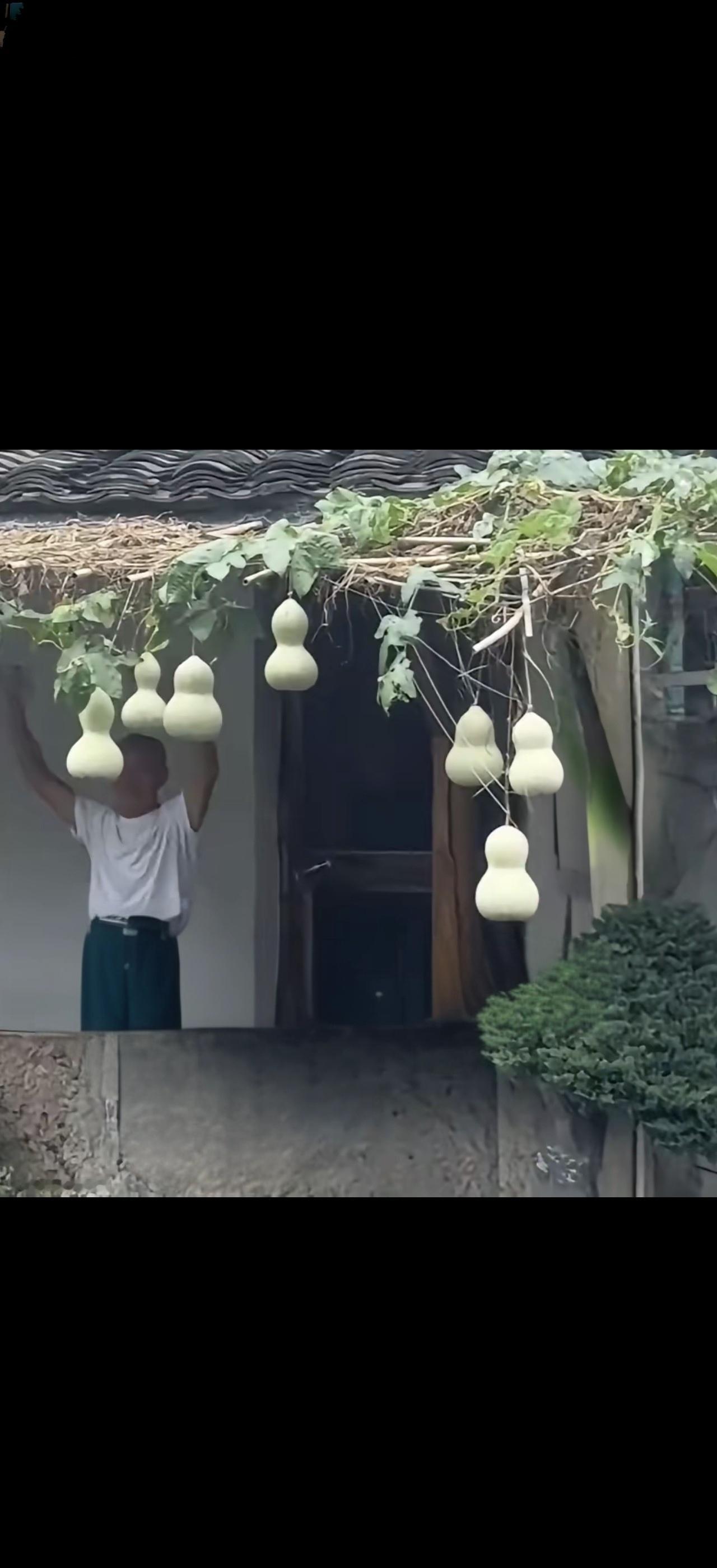 葫芦娃救爷爷