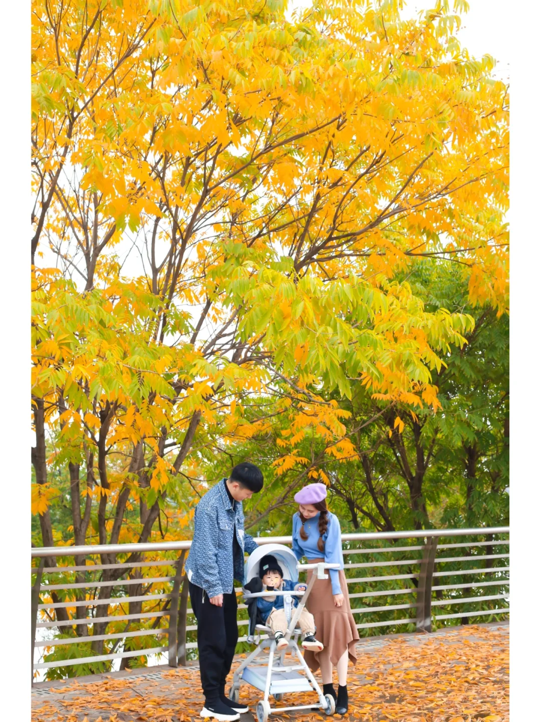 日常遛娃pro赏秋沿湖看菊展🌳错过又等一年