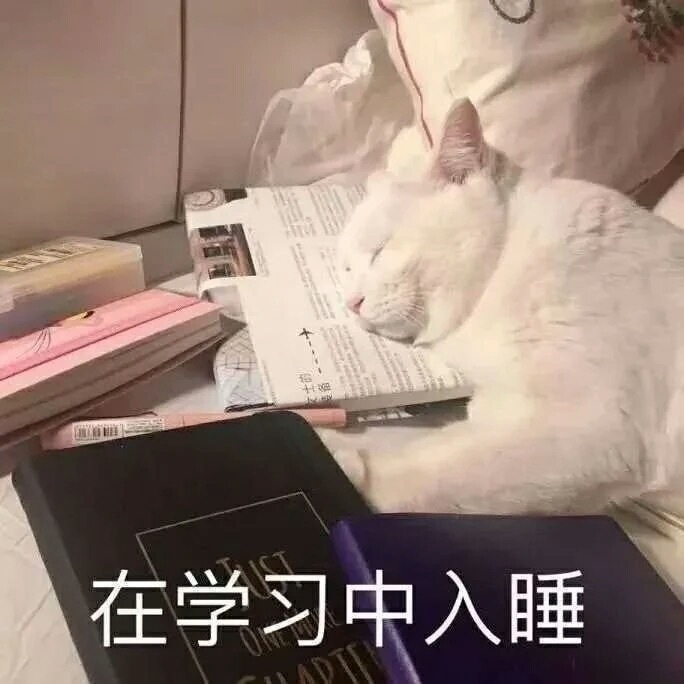学习表情包又来了～