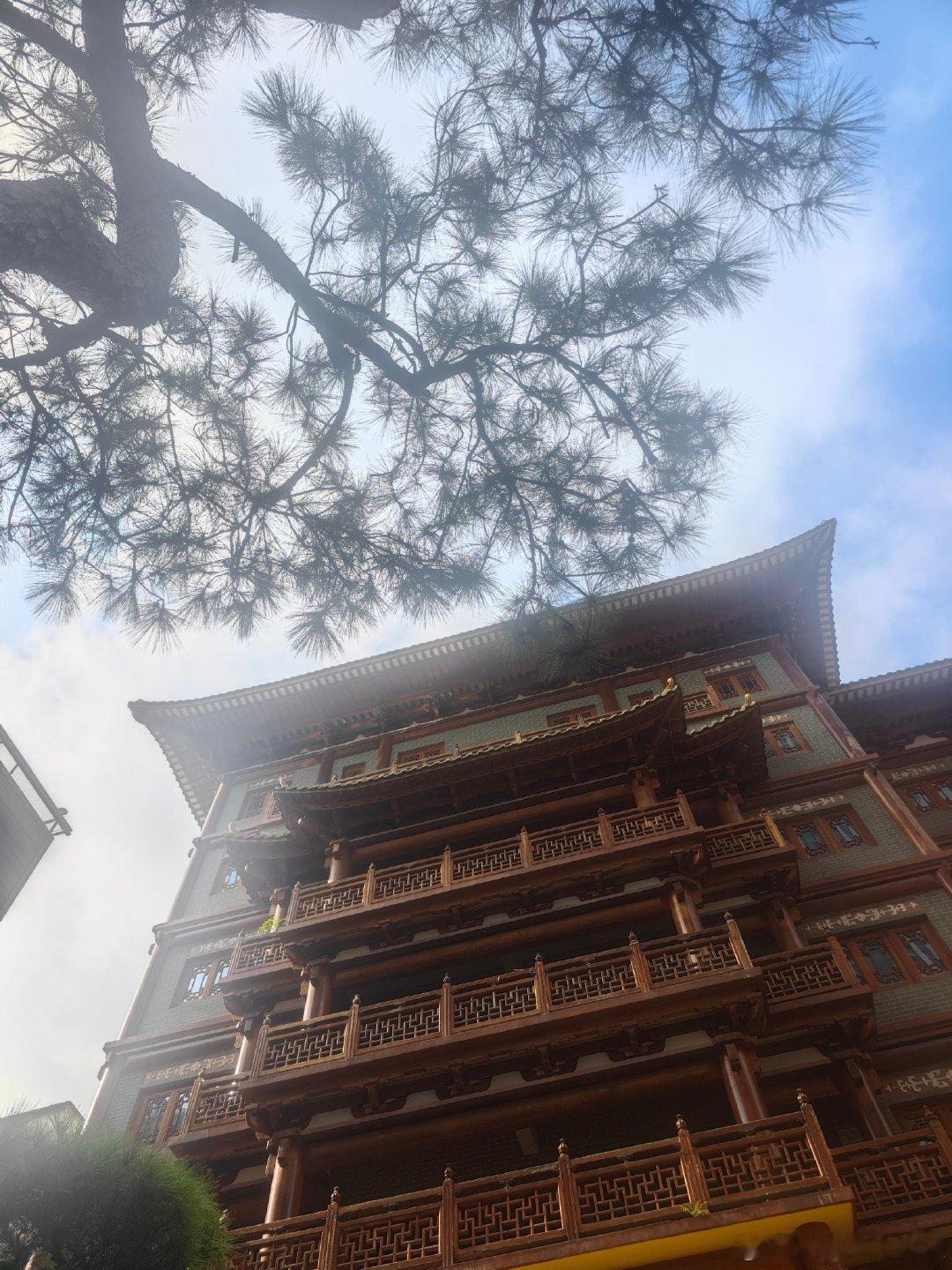 #用影像写一封情书#现代建筑与大佛古寺在树影之间交错，不时还有飞机飞过，诉说着广州这座千年商都的传承与发展！​